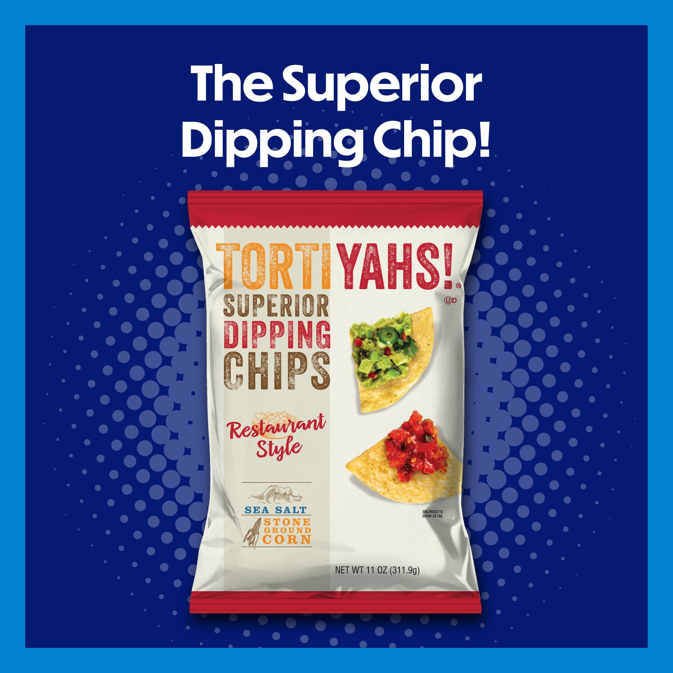 TORTIYAHS!® Superior Dipping Chips Restaurant Style Sea Salt