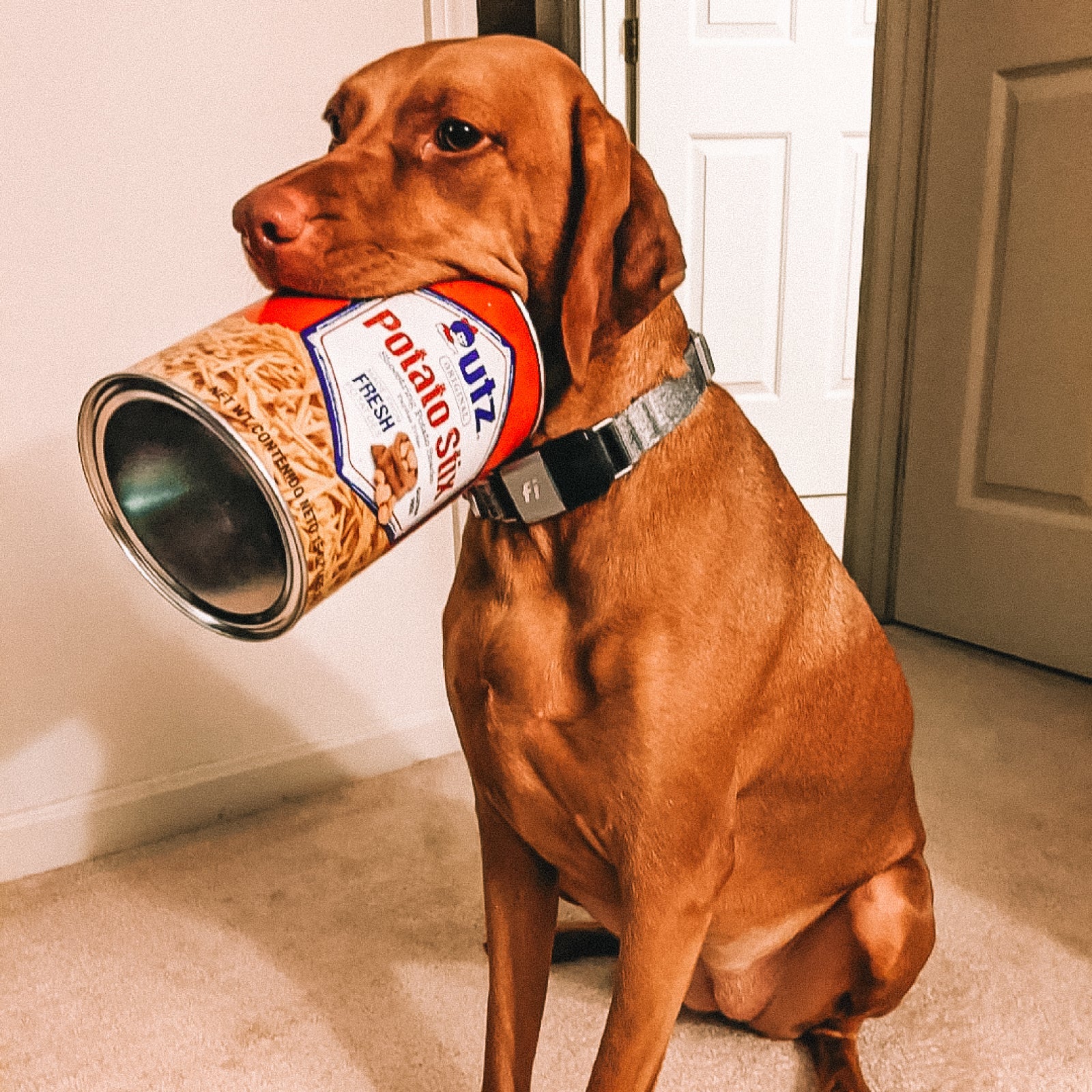 Utz Barbeque Potato Stix, Multipack, 14 oz, 3 Count